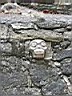 Mexico 2005 085.jpg